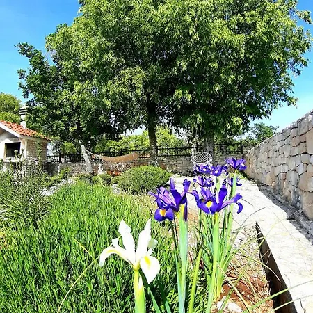 Holiday home Relaxing Dalmatian House In Village Ljubitovica
