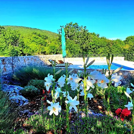 Relaxing Dalmatian House In Village