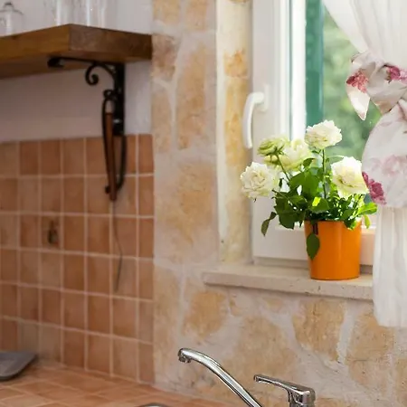 Holiday home Relaxing Dalmatian House In Village Ljubitovica