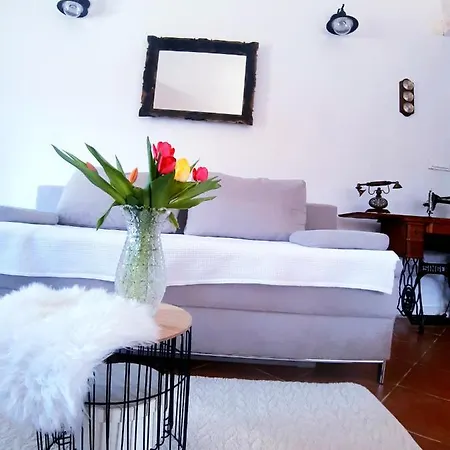 Relaxing Dalmatian House In Village Ljubitovica