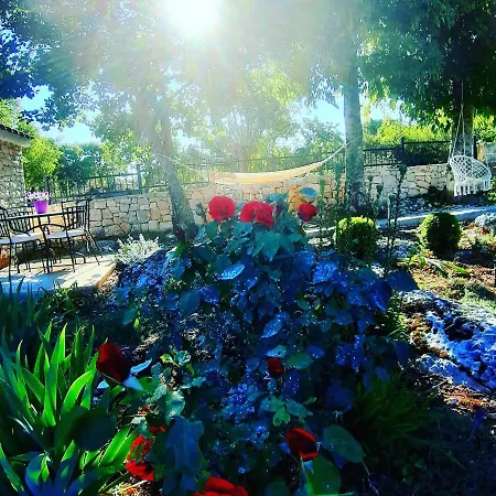 Relaxing Dalmatian House In Village Ferienhaus