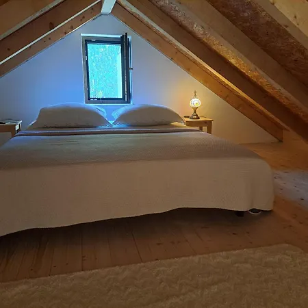 Relaxing Dalmatian House In Village *